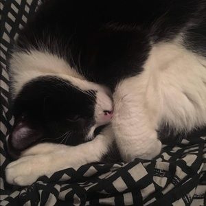 Meet your Posher, Leela